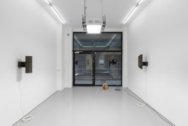  Floral Automaton - Thomas Pellerey Grogan